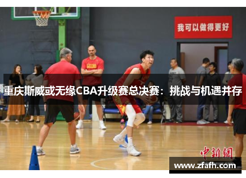 重庆斯威或无缘CBA升级赛总决赛：挑战与机遇并存